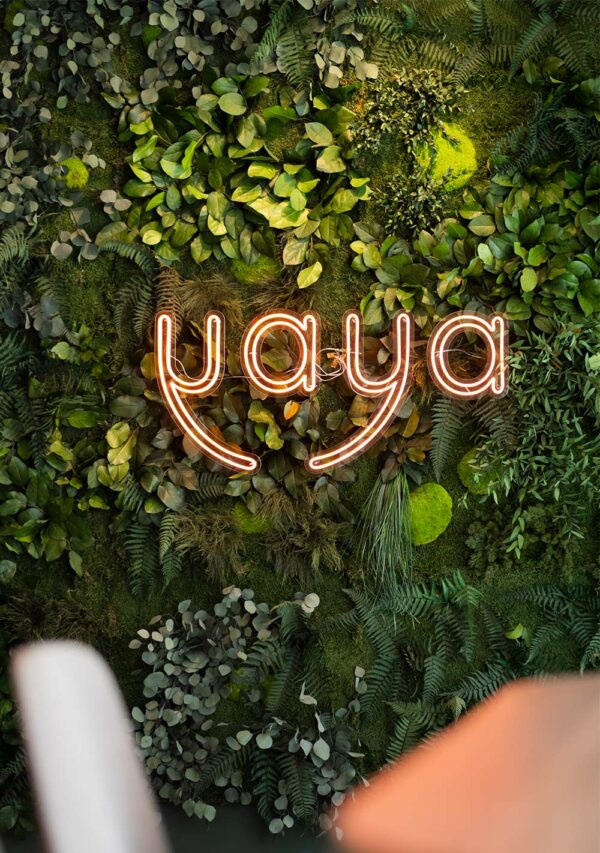 yaya — world of bowls
