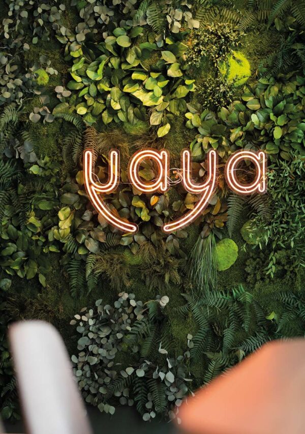 yaya – world of bowls — Münster, DE