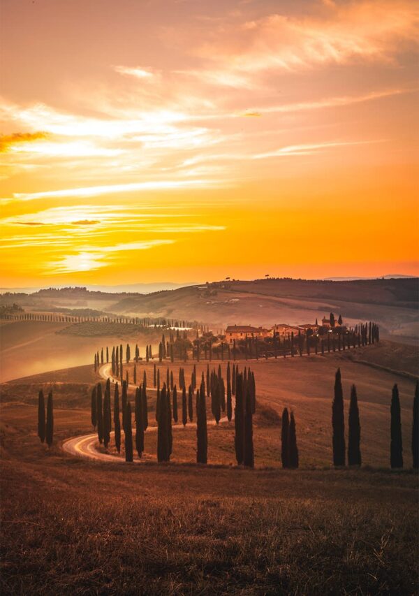 Grimaldo Firenze — Firenze, IT