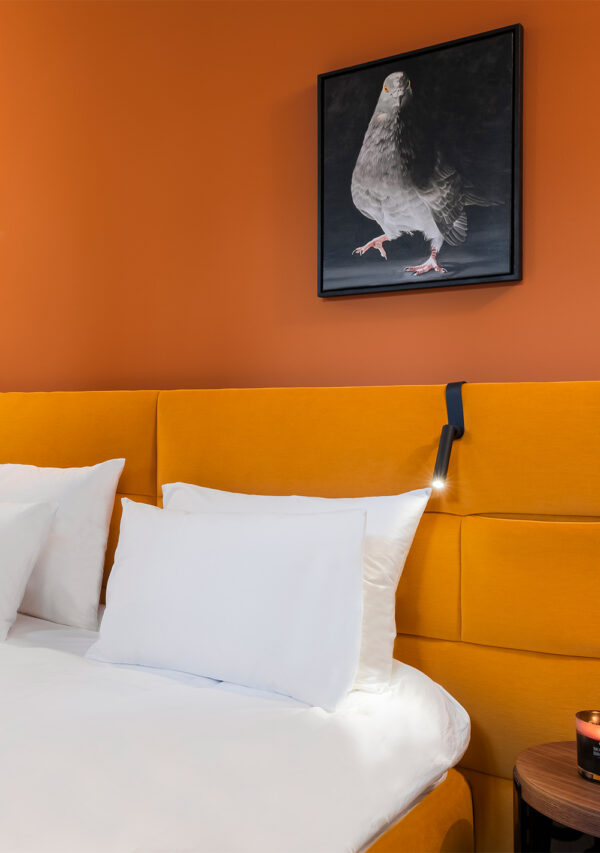 The Flat — Showroom