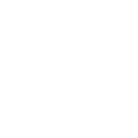 bridgestone